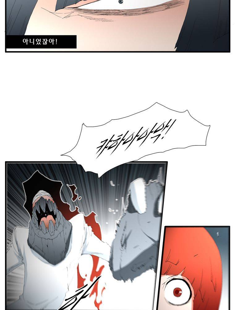 트레이스 장미 20 23