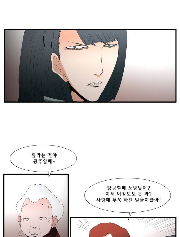 트레이스 장미 20 52