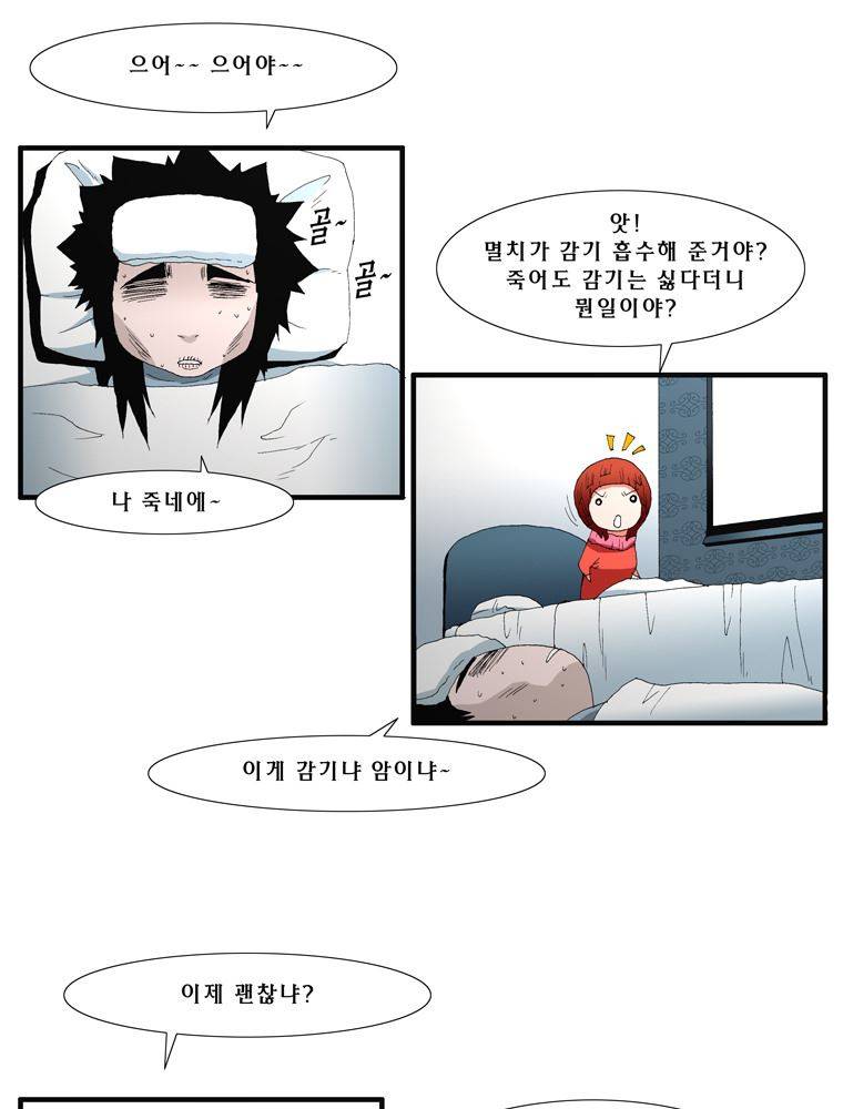 트레이스 장미 20 67