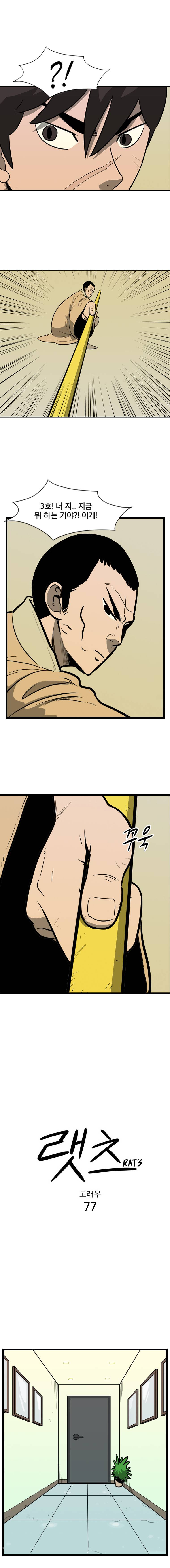 랫츠 77화 1