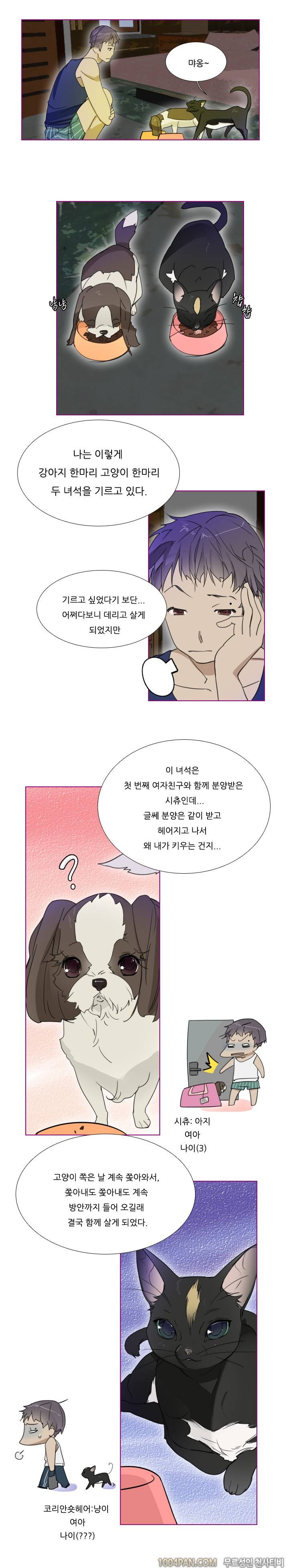 아지냥이 1화 3