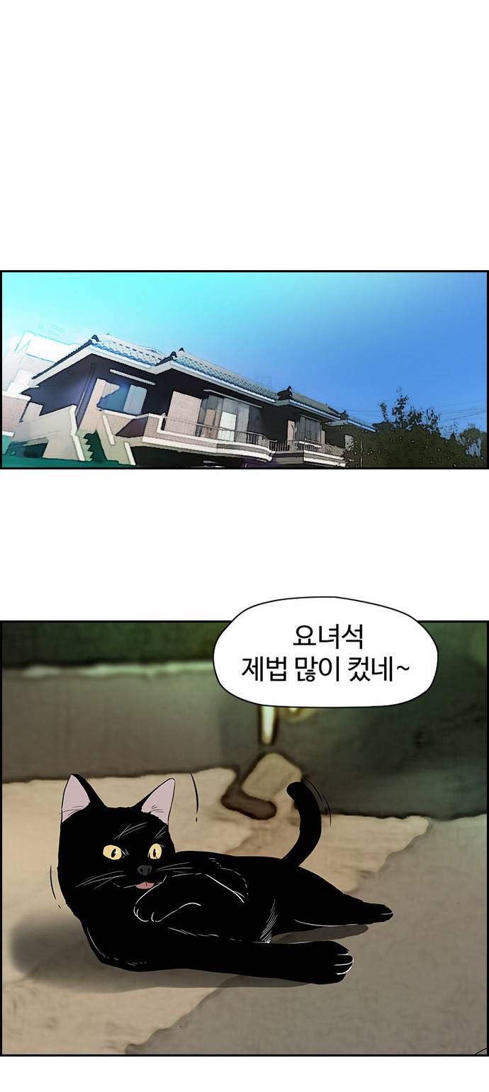 윈드브레이커 특별편 3