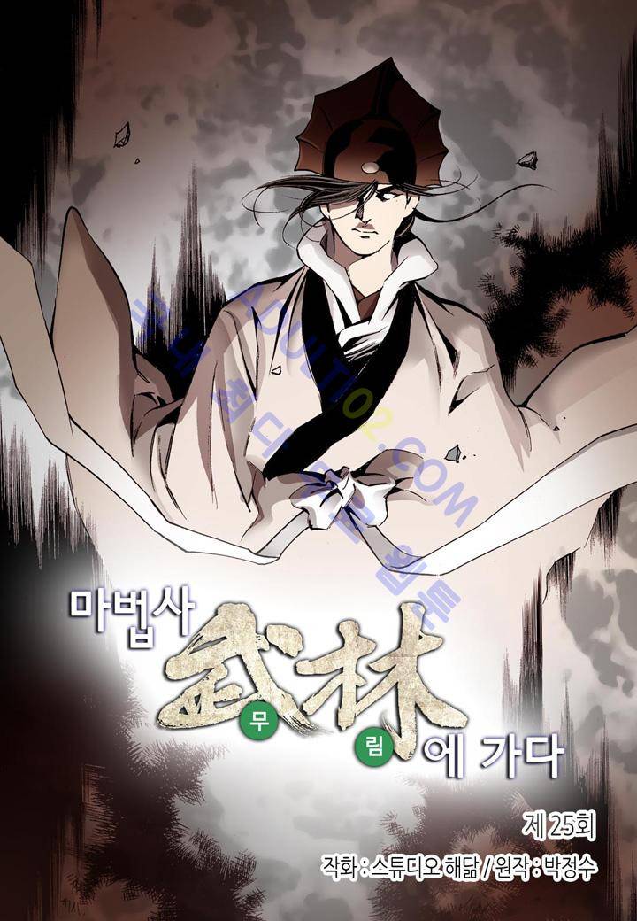 마법사 무림에 가다 25화 2