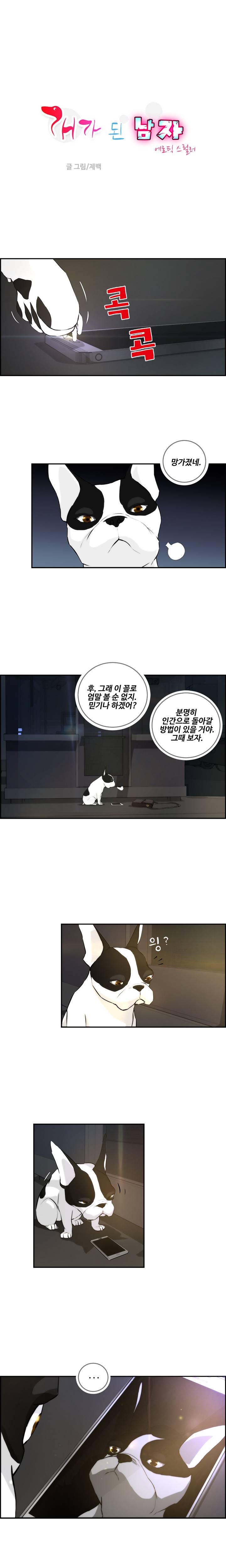 개가 된 남자 3화 1