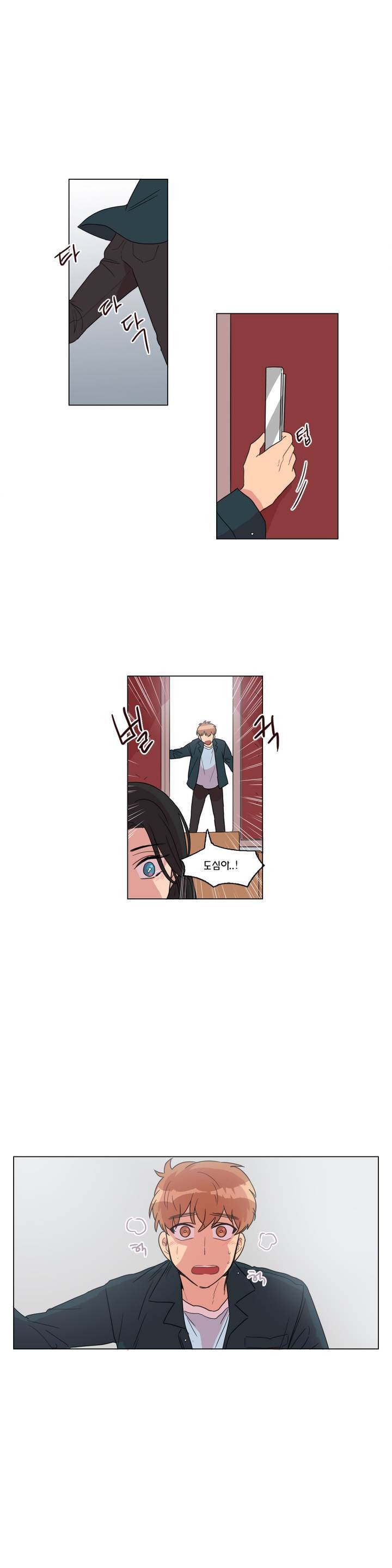 도리도심 35화 1