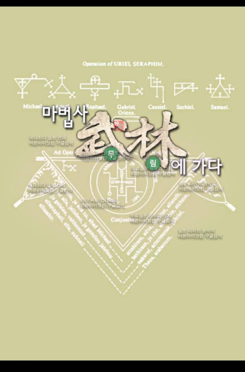 마법사 무림에 가다 34화 1