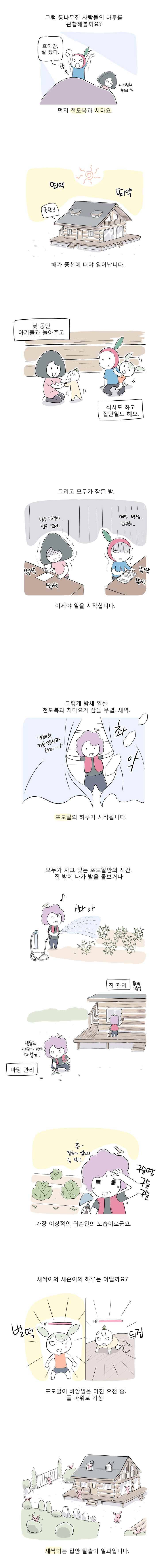 풀 뜯어먹는 소리 41화 통나무집 패밀리 3