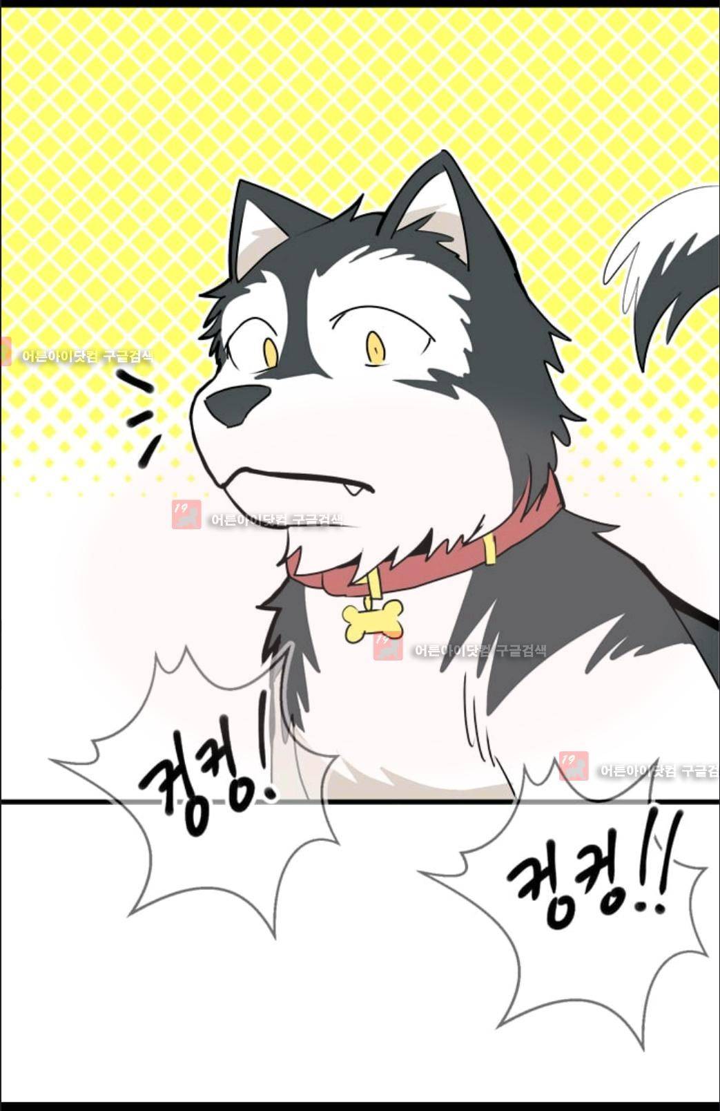 애니멀 아이즈 41화 7