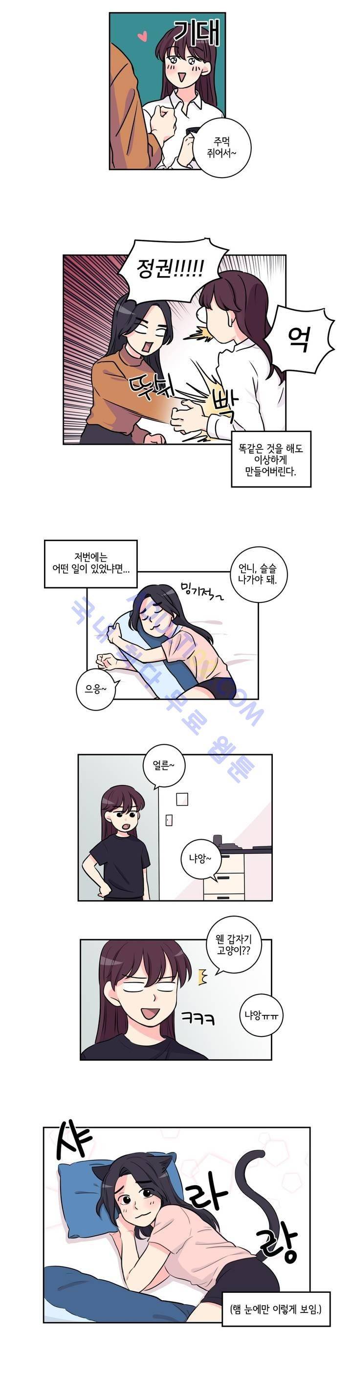 여길봐 햄뽀야! 5화 2