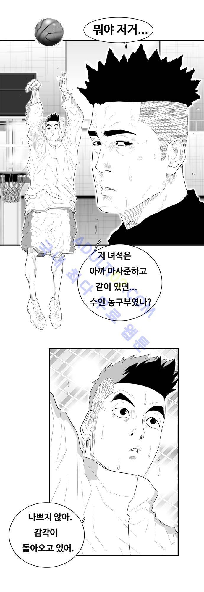 훕스(Hoops) 46화 12