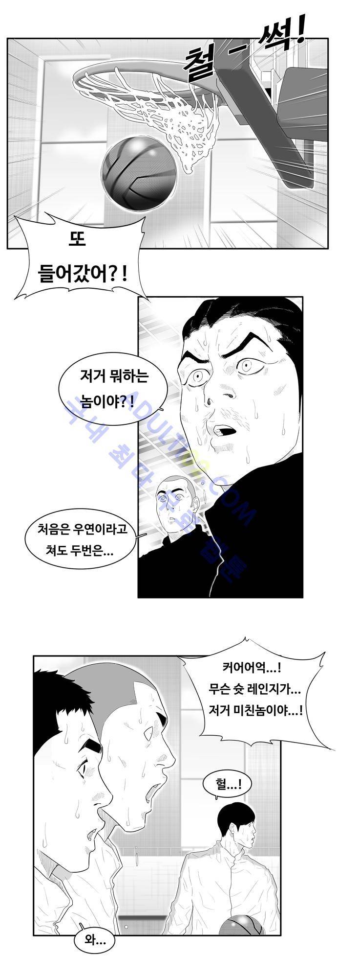 훕스(Hoops) 46화 13