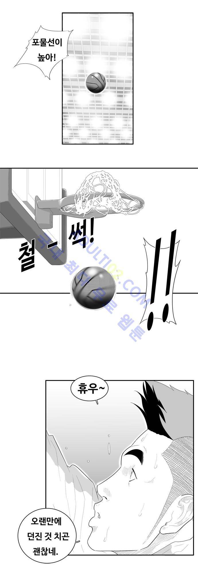 훕스(Hoops) 46화 16