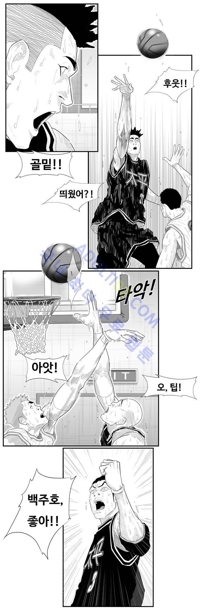 훕스(Hoops) 56화 4