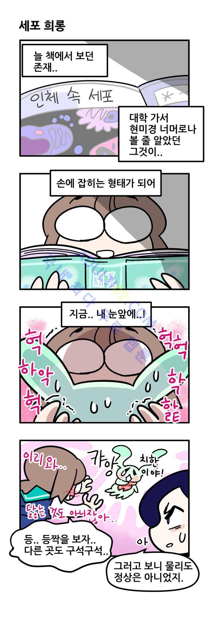 돌고도는 세포고백! 7화 8