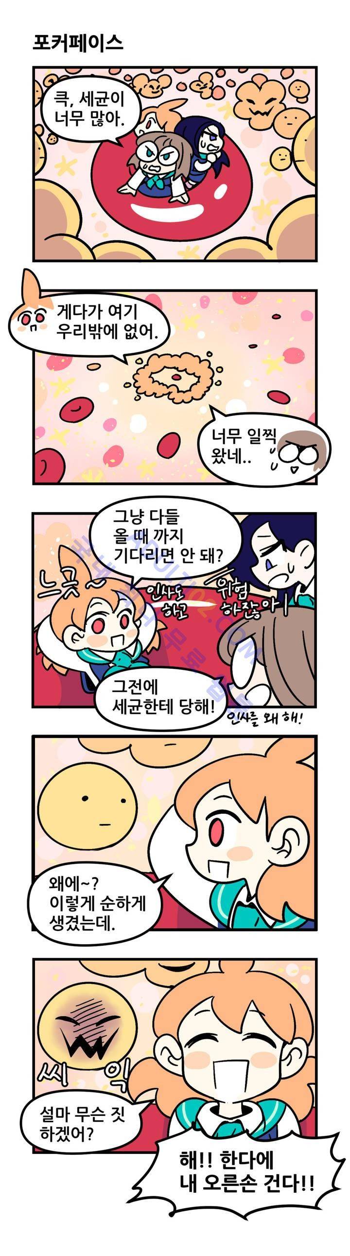 돌고도는 세포고백! 16화 8
