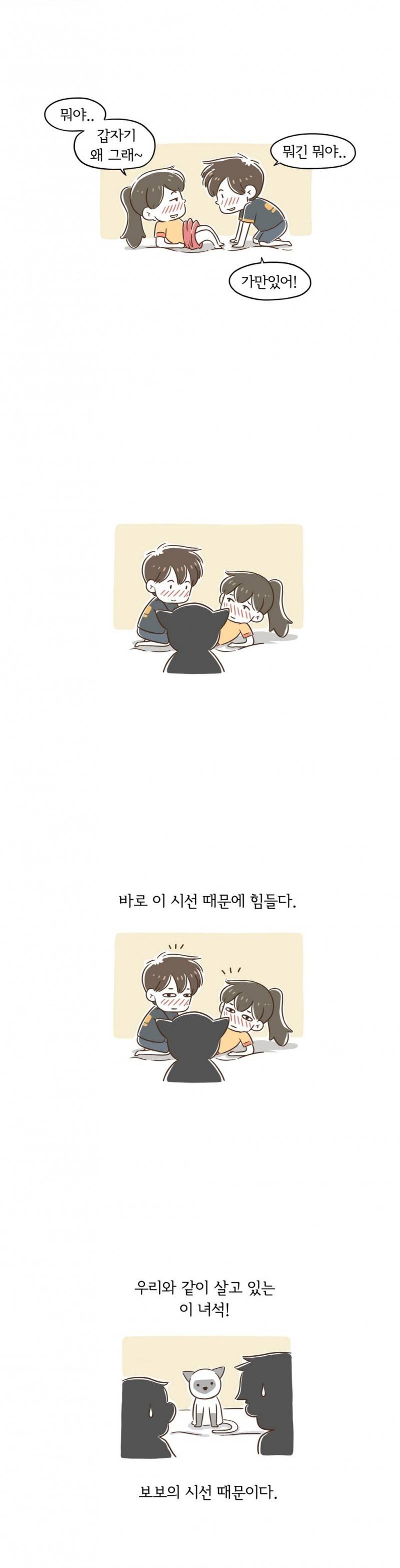어디까지 해봤어? 7 ~ 8화 8