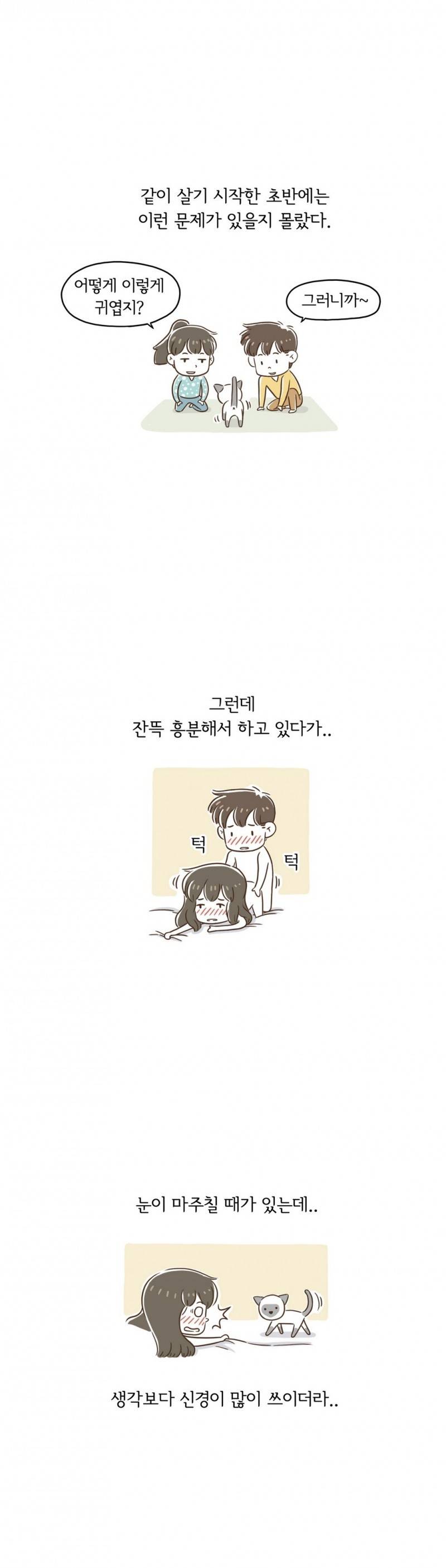 어디까지 해봤어? 7 ~ 8화 9