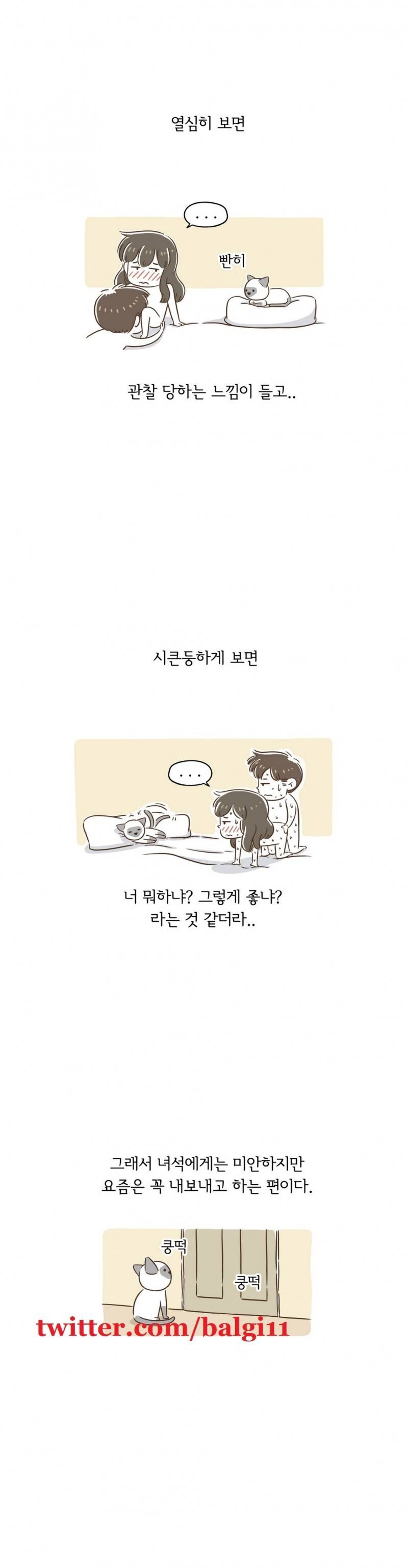 어디까지 해봤어? 7 ~ 8화 10