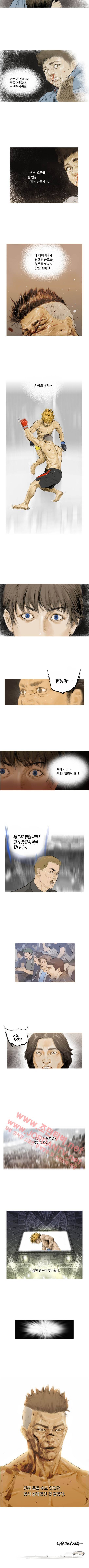 최종격투기 22화 2