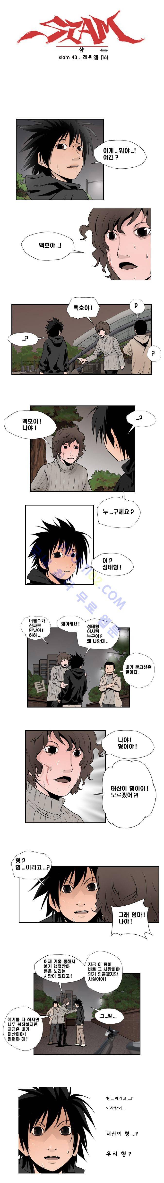 샴  43화 1