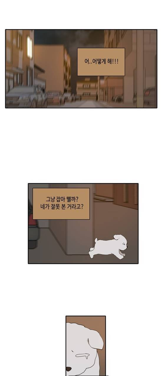 오늘도 사랑스럽개 11화 5