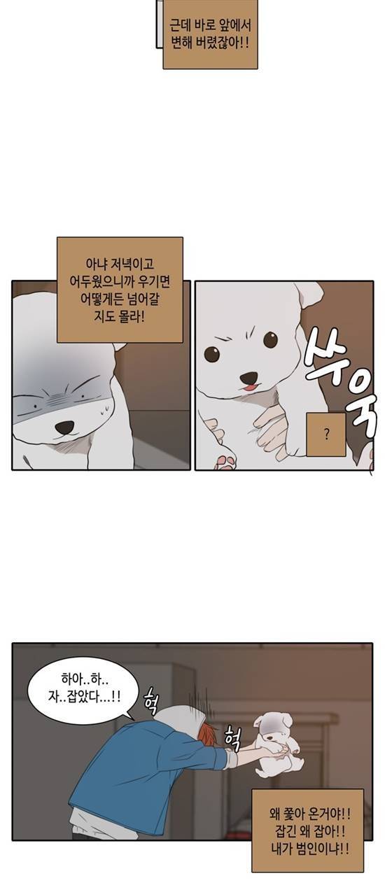 오늘도 사랑스럽개 11화 6
