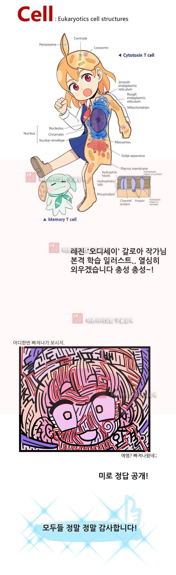 돌고도는 세포고백! 에필로그 11