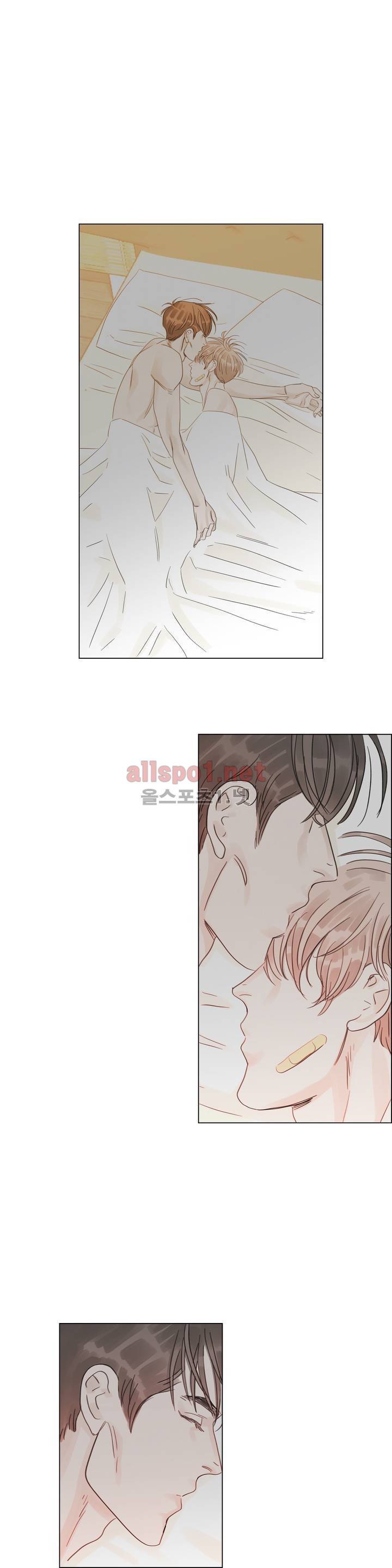 슈가대디는 과연 달콤할까? 23화 11