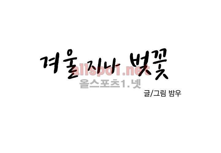 겨울 지나 벚꽃 8화 14