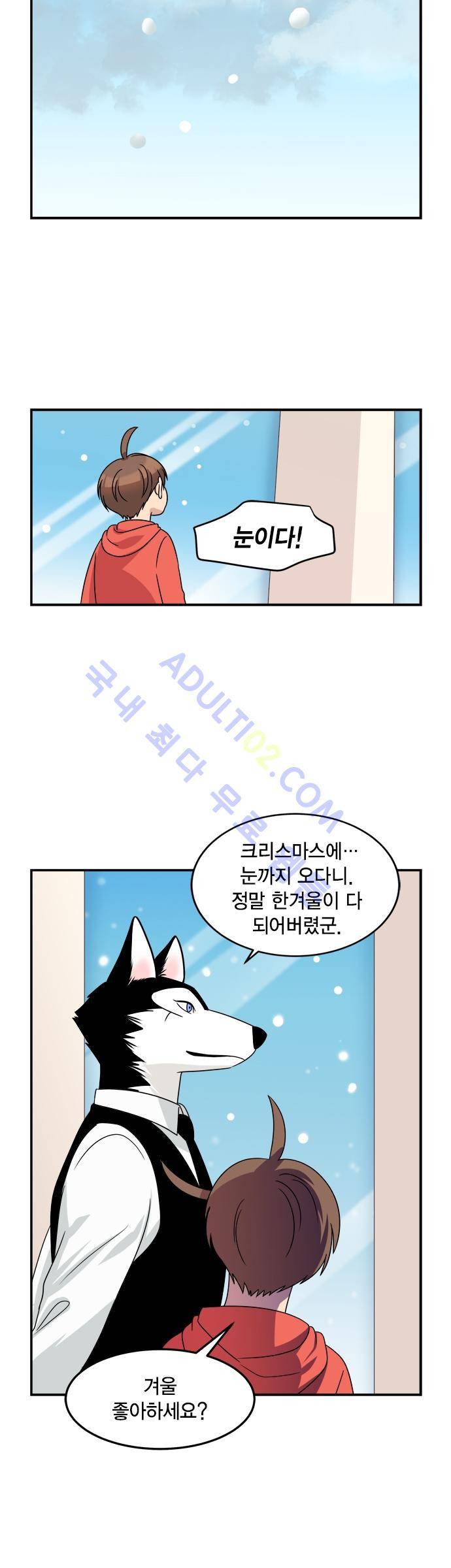우리 사장님은 개 후기 & 크리스마스 특별편 8