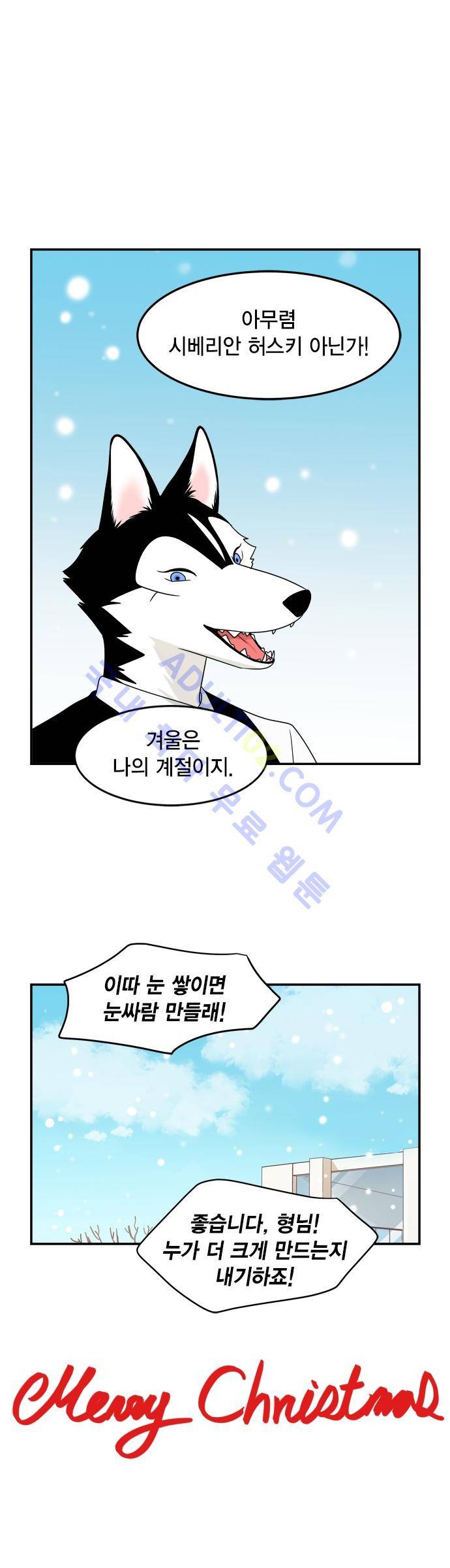 우리 사장님은 개 후기 & 크리스마스 특별편 9
