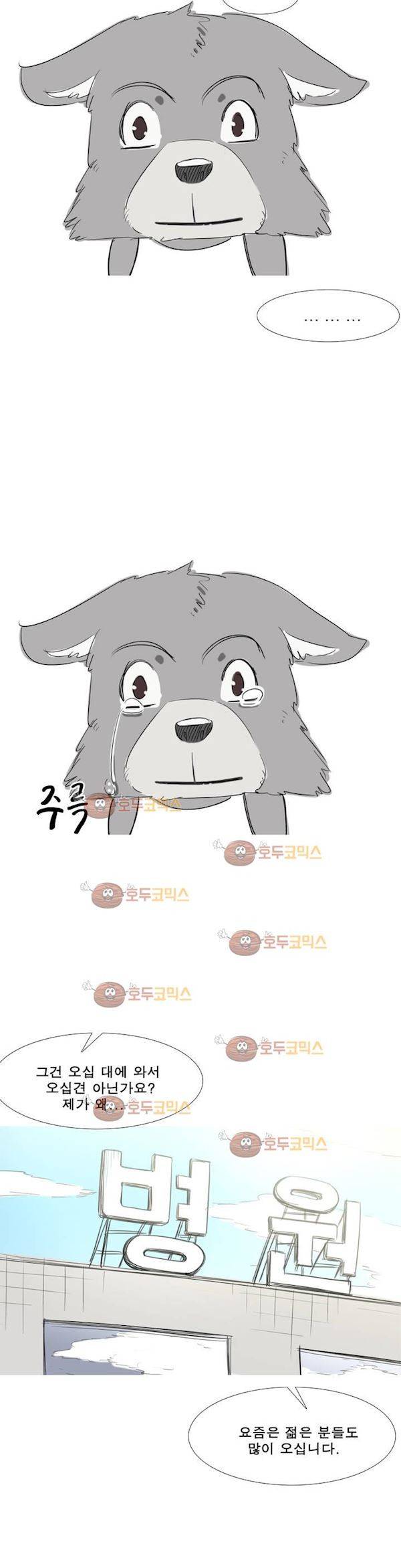 전설의 읍내최강 휴재공지 6