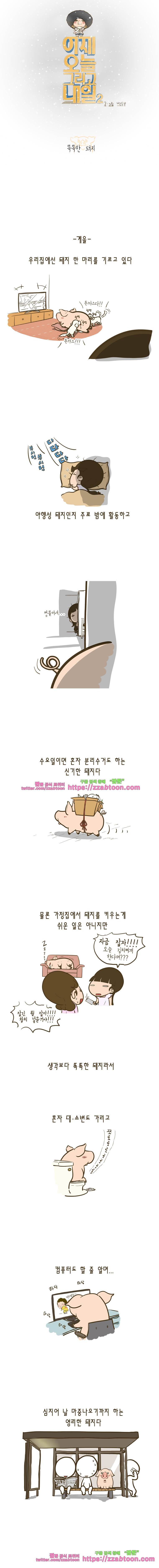 어제 오늘 그리고 내일-95화 똑똑한 돼지 1