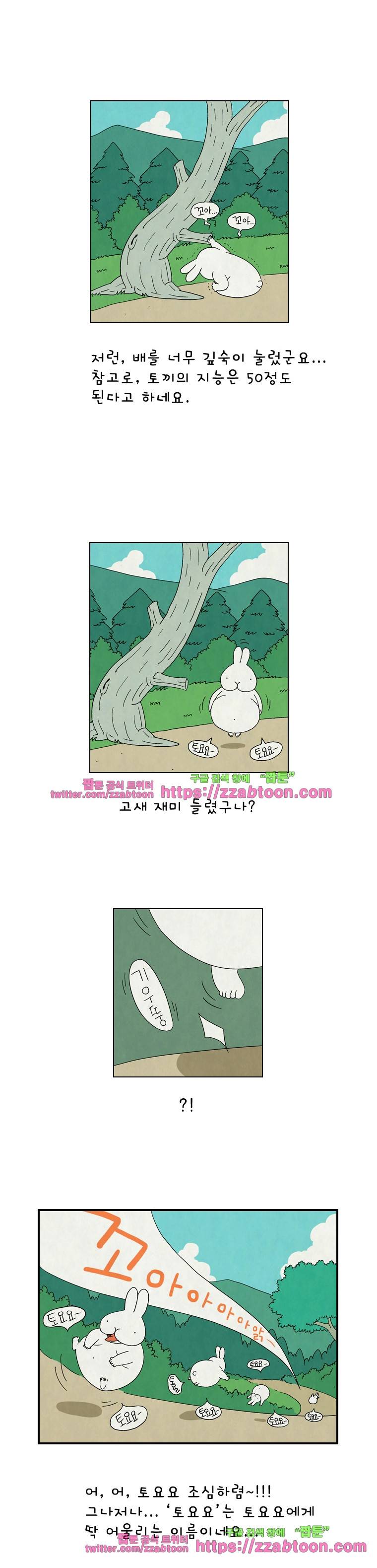 얌얌숲 당근길 토요요 3화. 내 이름은 토요요 3