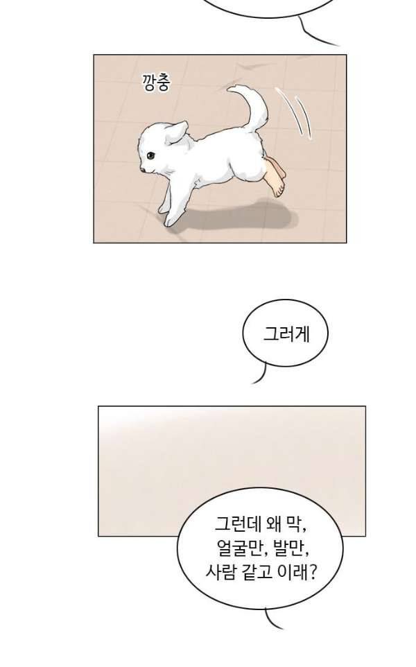 귀각시 101화 9