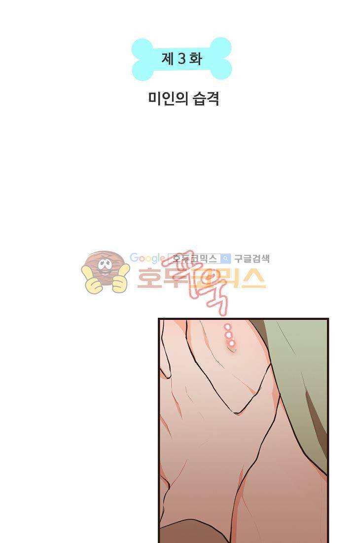멍멍냥냥 3화 - 미인의 습격 5