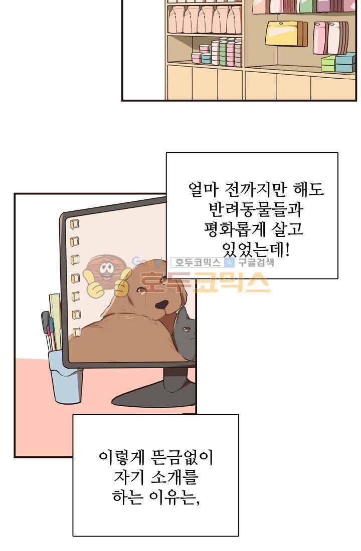 멍멍냥냥 3화 - 미인의 습격 33