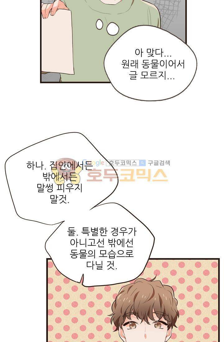 멍멍냥냥 3화 - 미인의 습격 45