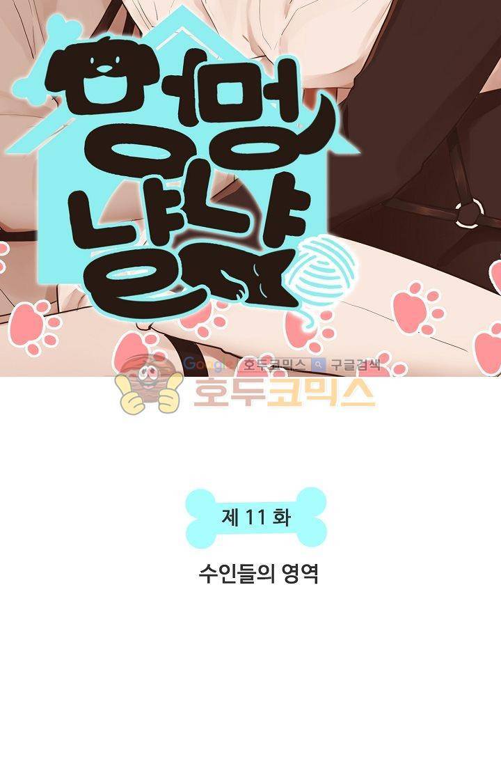 멍멍냥냥 11화 - 수인들의 영역 5