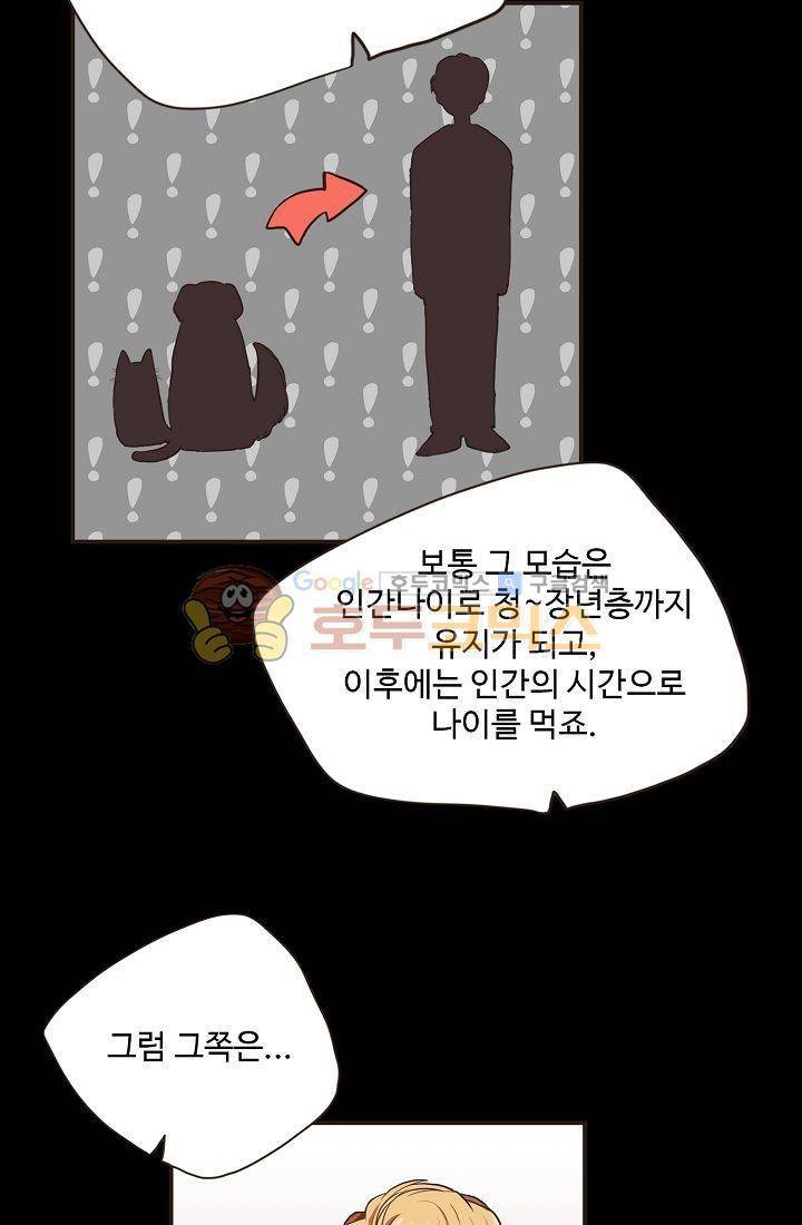멍멍냥냥 11화 - 수인들의 영역 39
