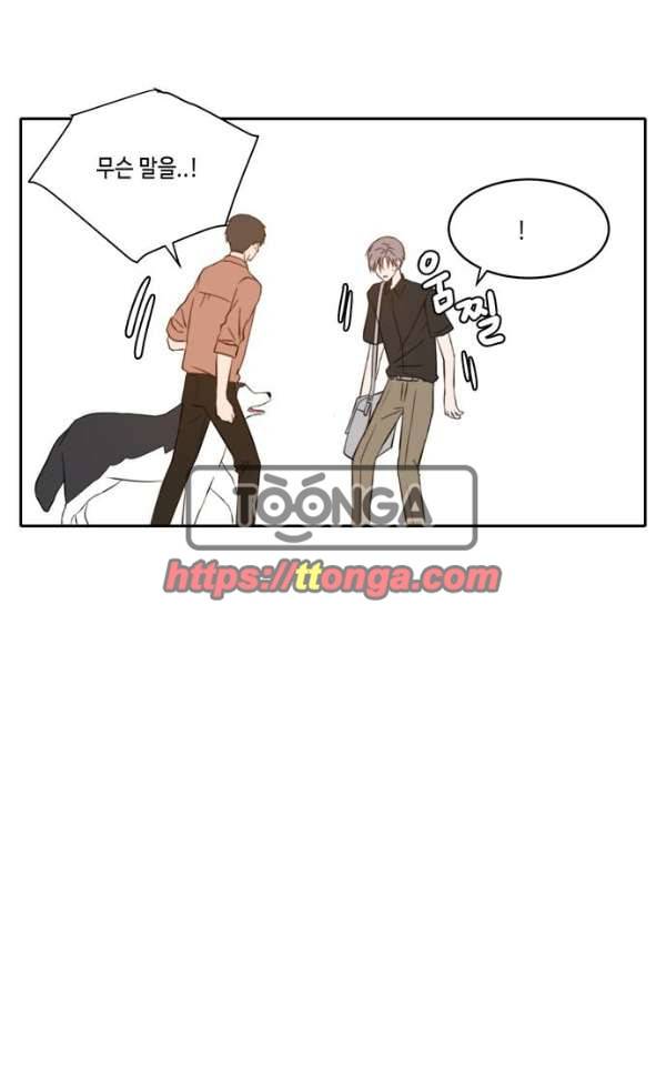 오늘도 사랑스럽개 54화 10