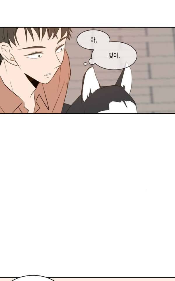 오늘도 사랑스럽개 54화 11