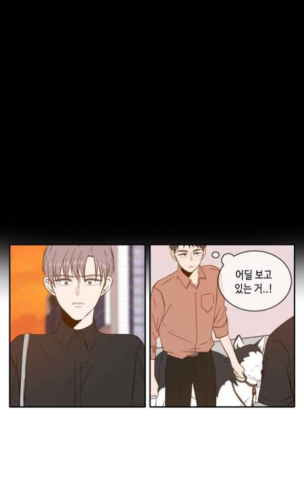 오늘도 사랑스럽개 54화 15