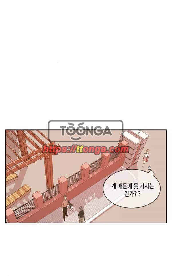 오늘도 사랑스럽개 54화 19