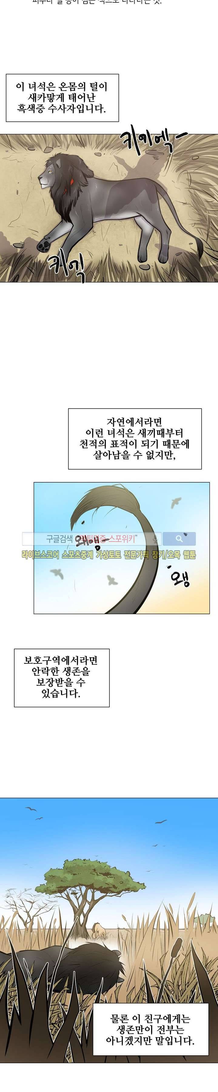 동물의 왕국 6화 3