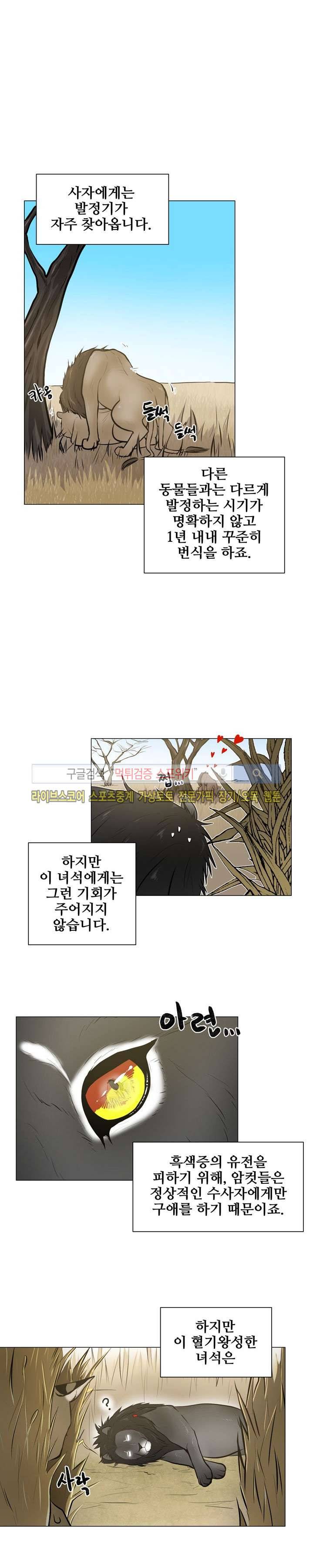 동물의 왕국 6화 4