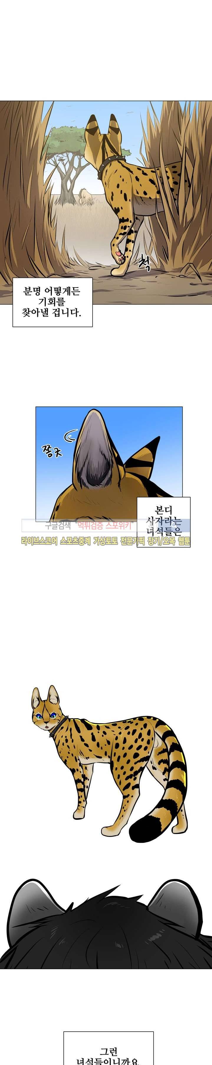 동물의 왕국 6화 5