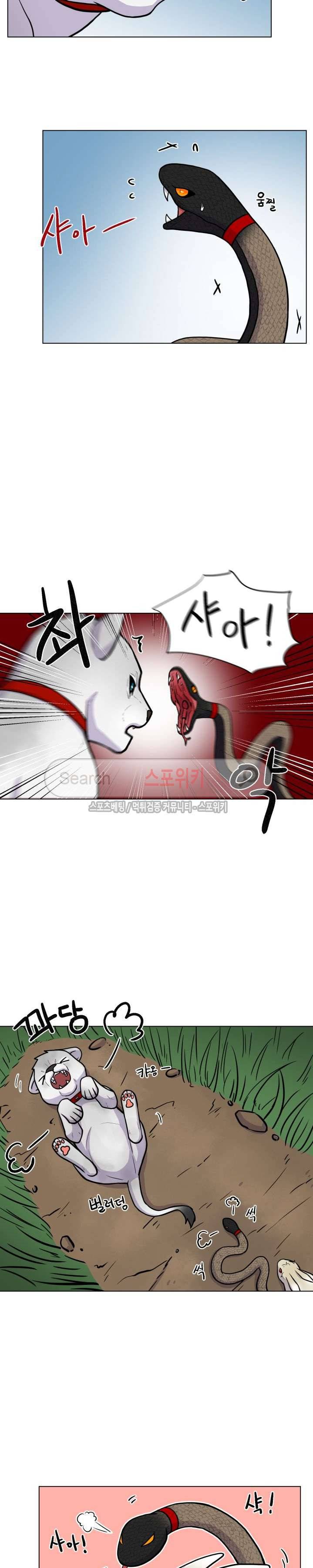 동물의 왕국 24화 2