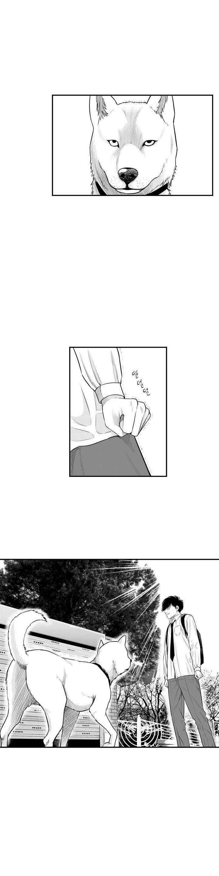 홀로 3화 3