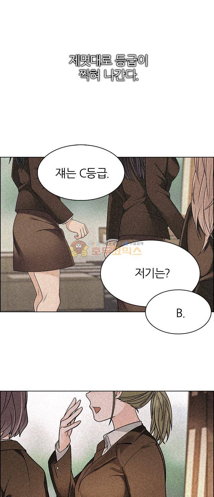다이스 258화 4